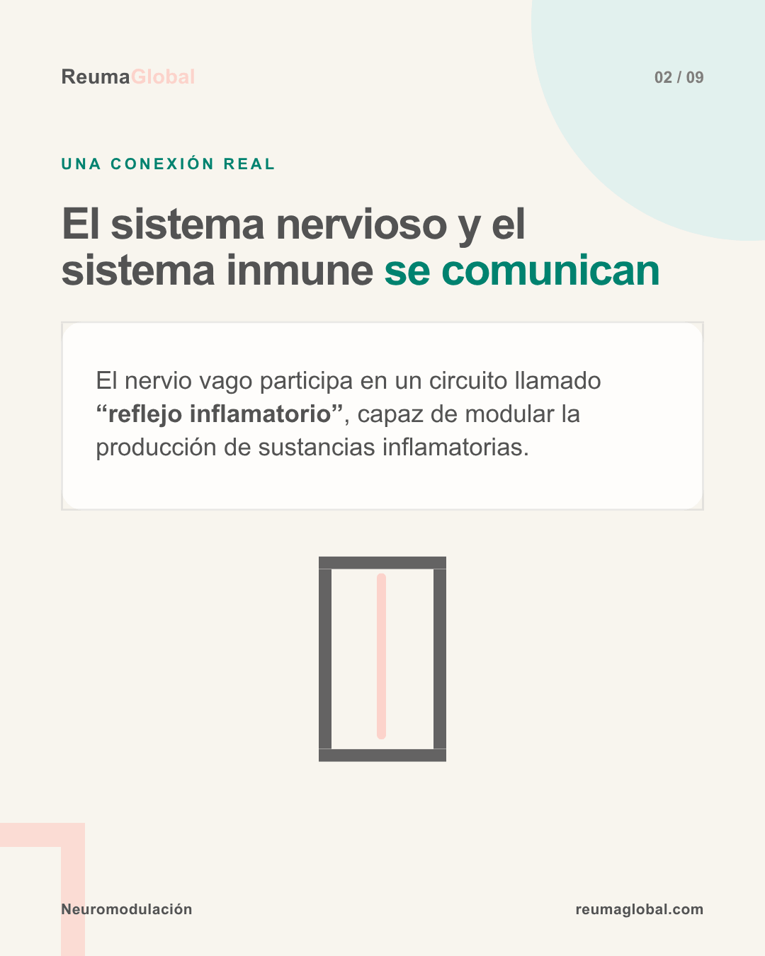 Comunicación entre el sistema nervioso y el sistema inmune